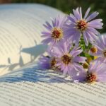 flowers, nature, flower background, flower wallpaper, asters, beautiful flowers, book