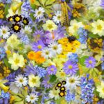 A colorful assortment of spring flowers, showcasing a vivid mix of colors and blooms.