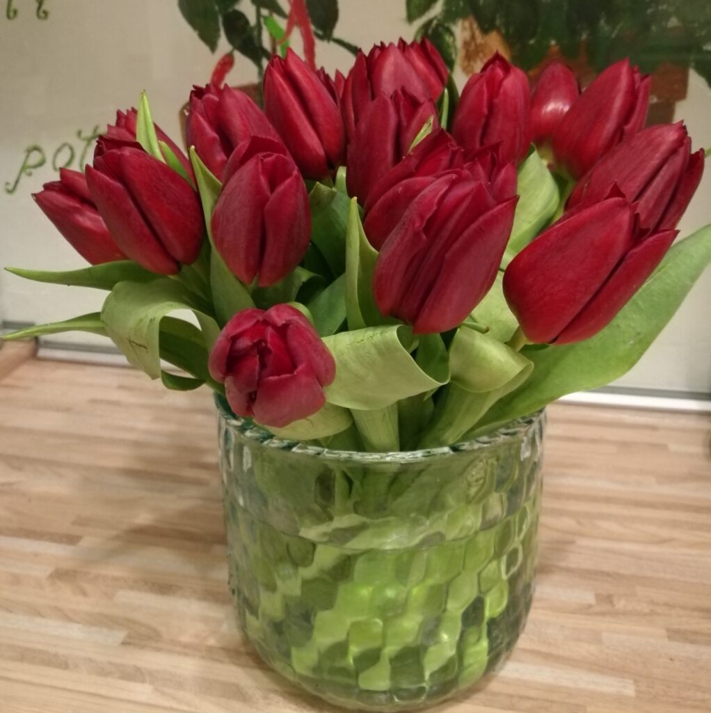 Rote Tulpen in Glasvase – Frühlingsblumen aus Vöcklabruck