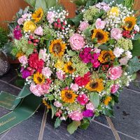 IMG_20250504_220222